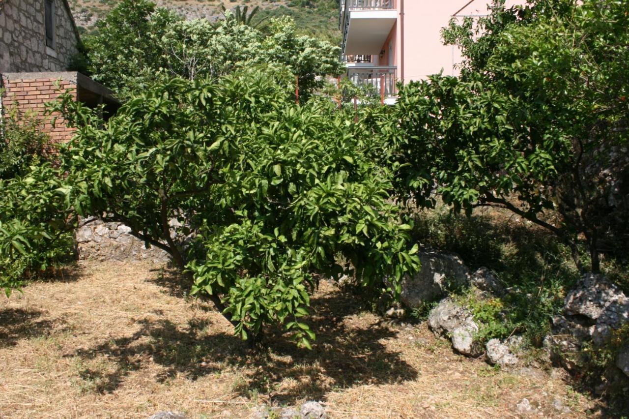Apartments By The Sea Podaca, Makarska - 6874 外观 照片